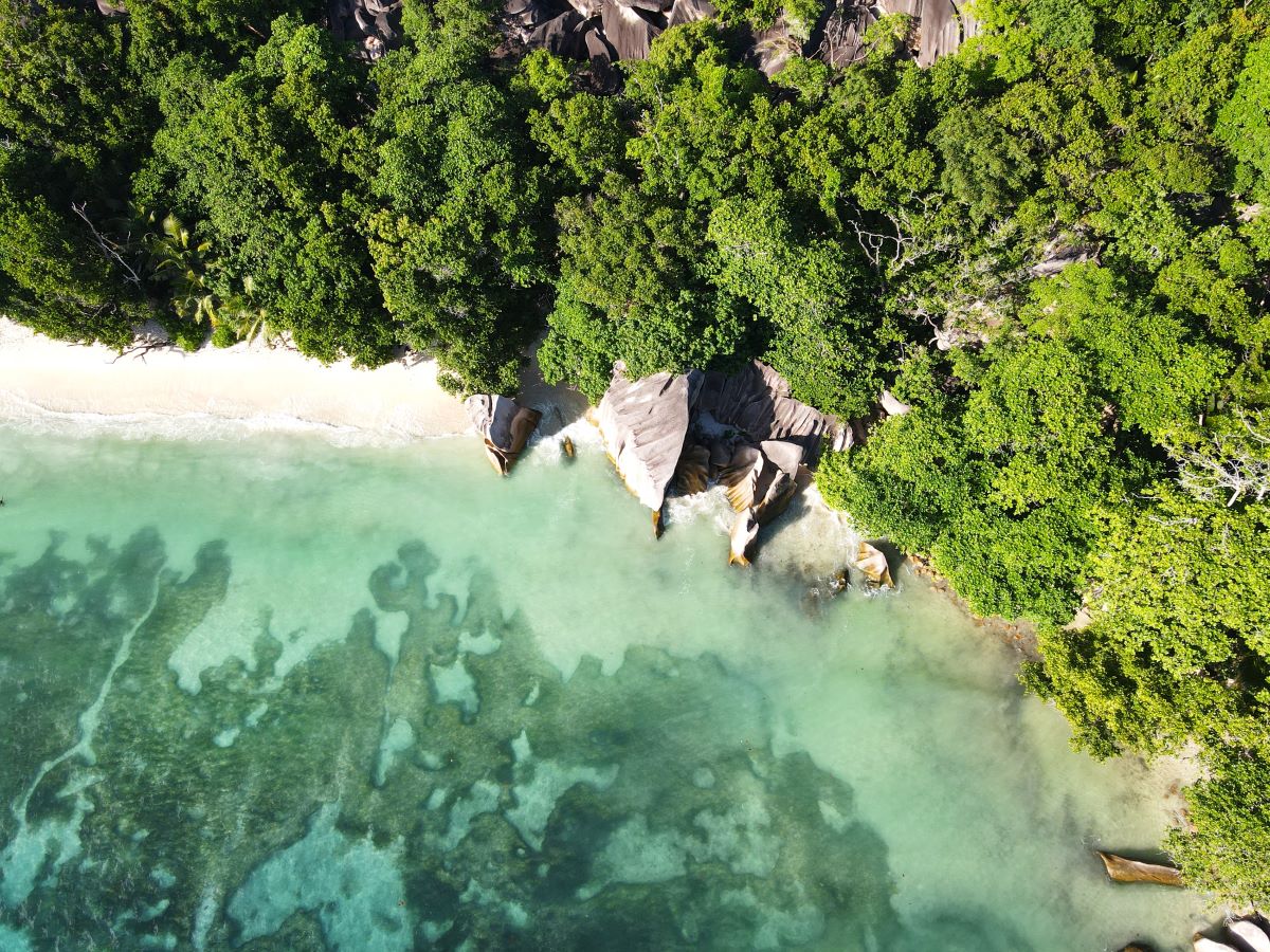 Seychellien hintataso