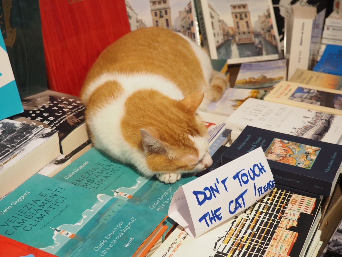 kirjasuosituksia 2025